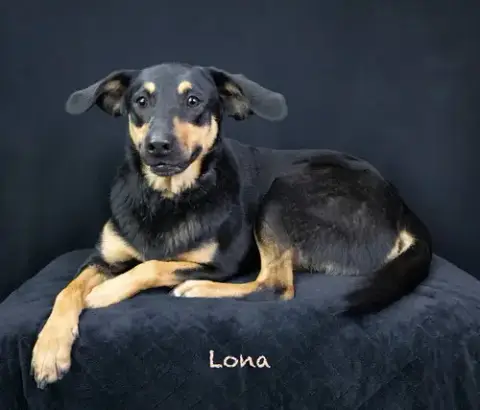 Lona photo 2