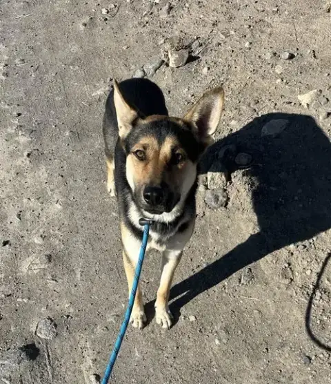 Finn photo 3