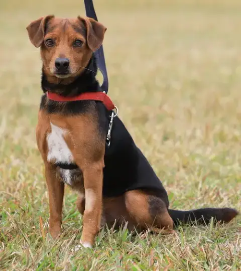 Bert photo 2