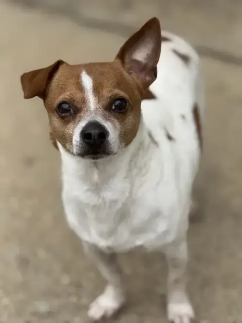 Marley Dd~