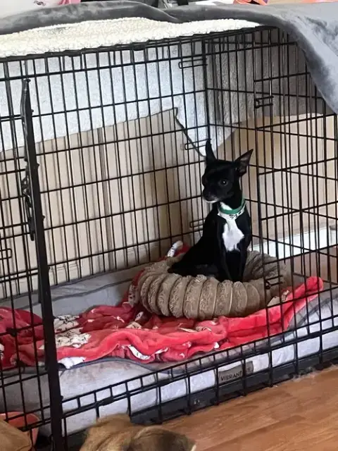 Binky