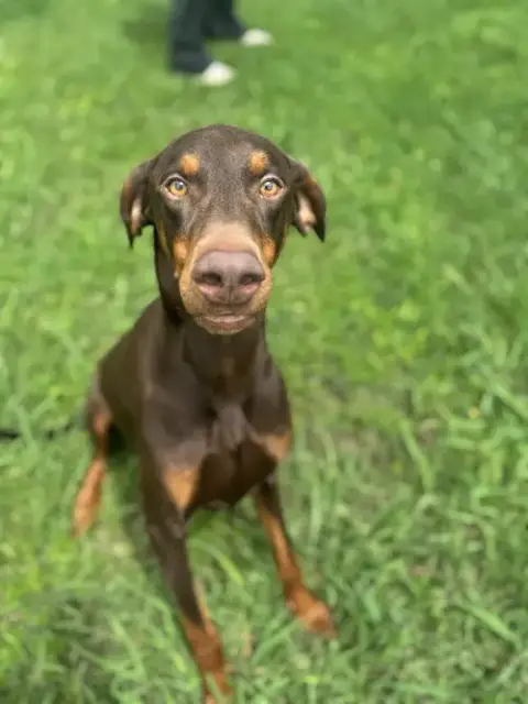 Cooper photo 3