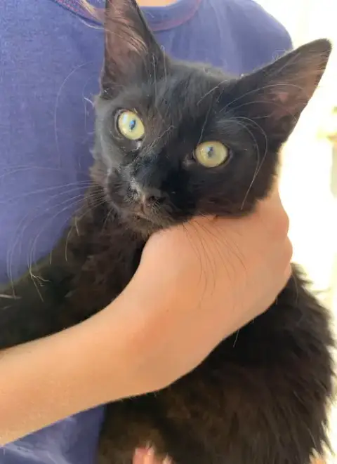 Nala photo 5