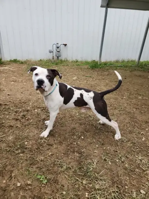 King Zeus