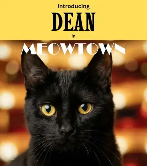 Dean