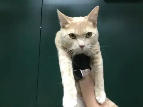Chester