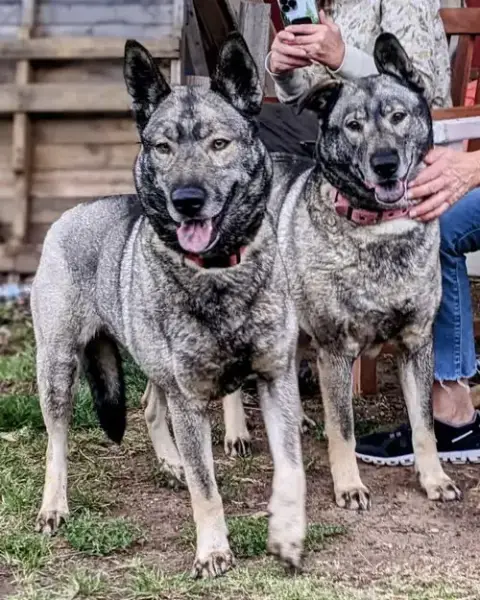 Freida And Dallen photo 2