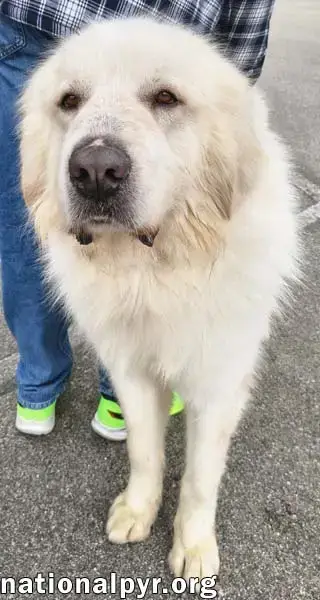Max In Ct photo 3