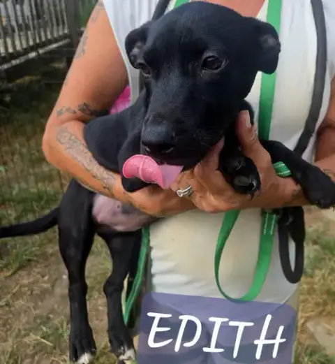 Edith photo 3