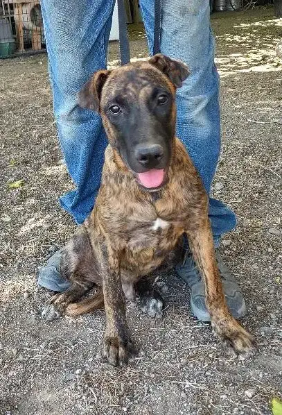 Kaizer
