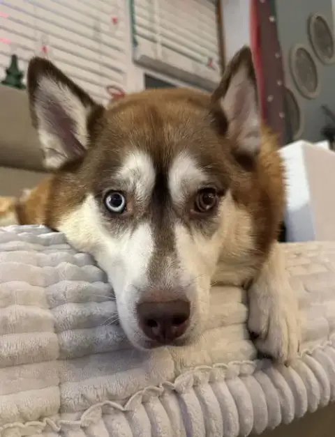 Karma