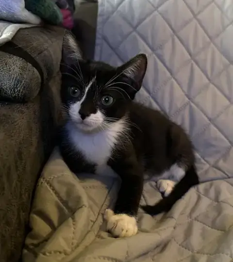 Dewie photo 2