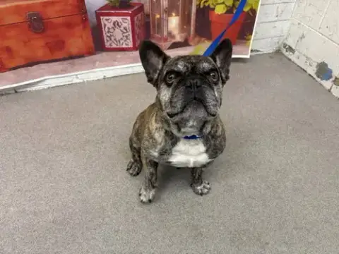 Walter
