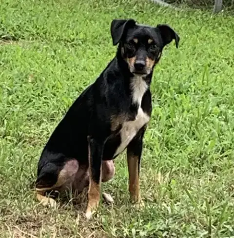 Maddox photo 4