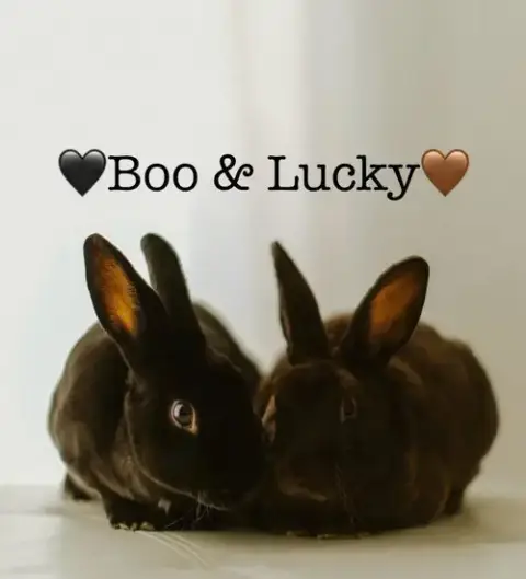 Lucky