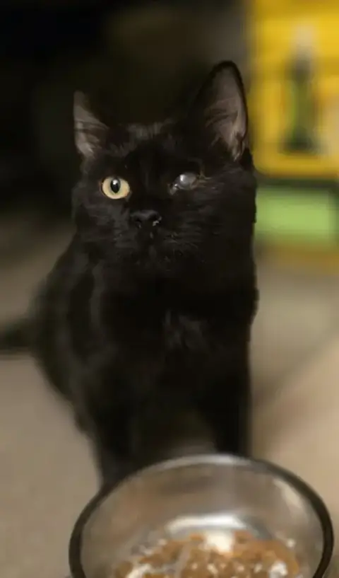 Esmeralda
