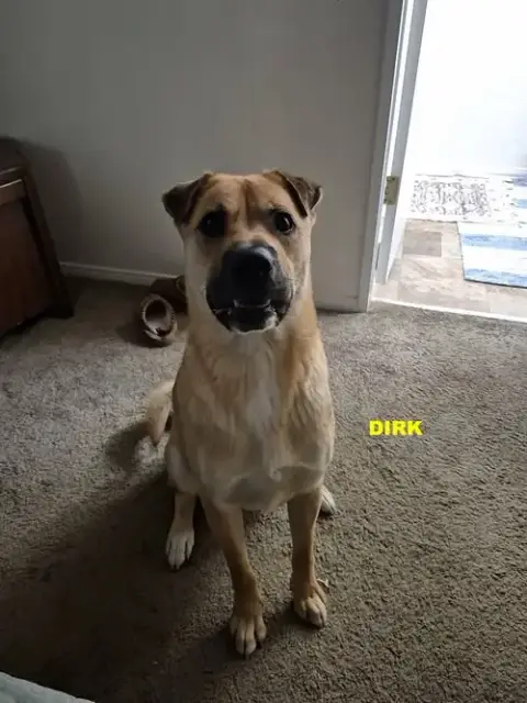 Dirk photo 5
