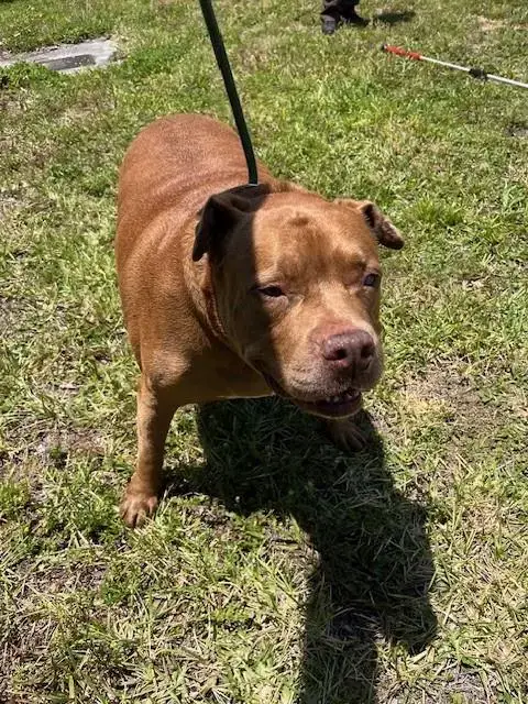 Tank