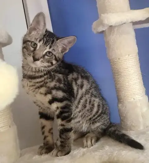 Fred