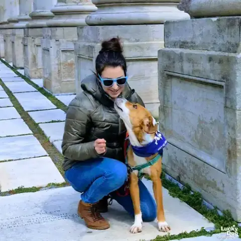 Zena photo 3