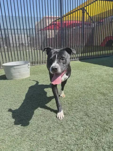 Titus photo 3