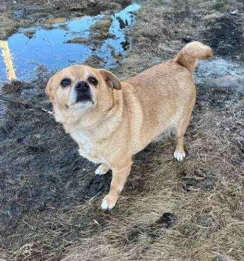 Pedro photo 4