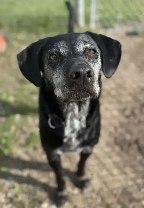 Boone photo 2