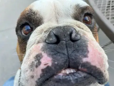 Winston photo 2