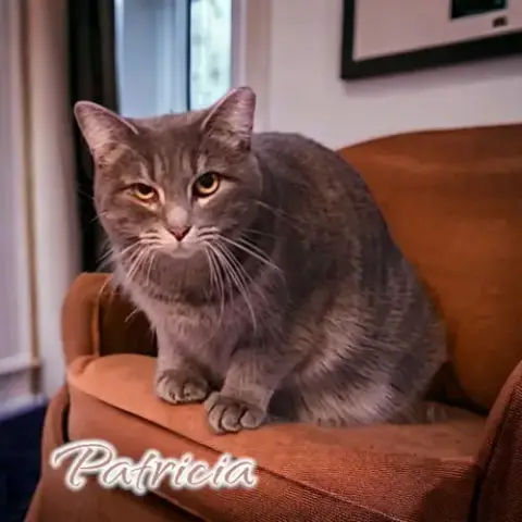 Patricia photo 4