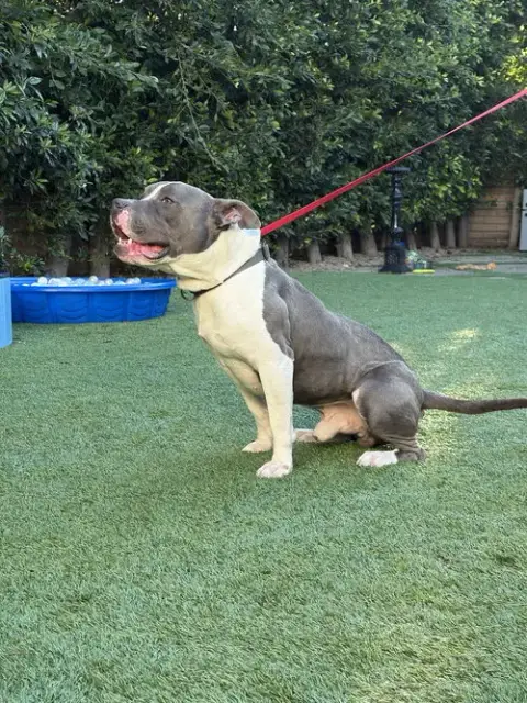 Zeus photo 2