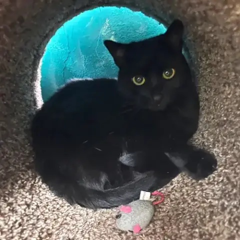 Jenny