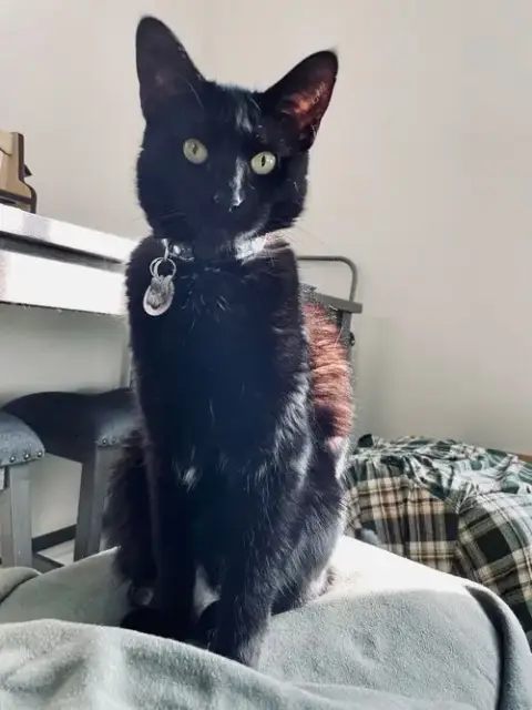 Nova