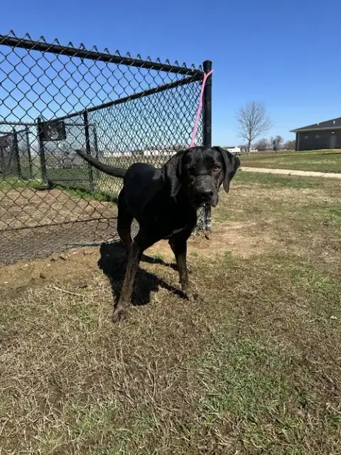 Walter photo 3