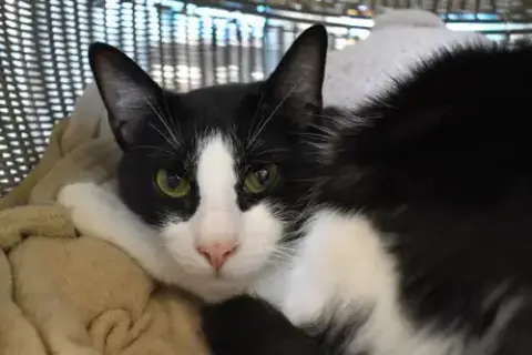 Suzie