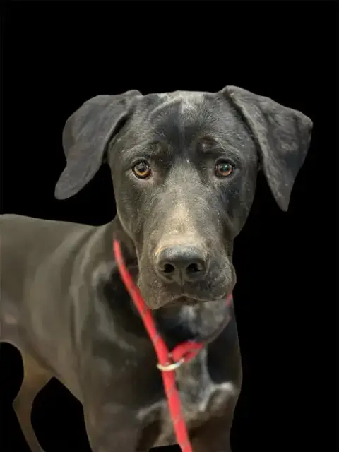 Max photo 3