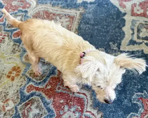 Betty photo 4