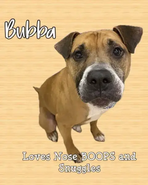 Bubba