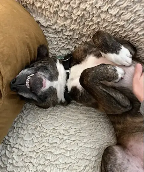 Baby photo 4