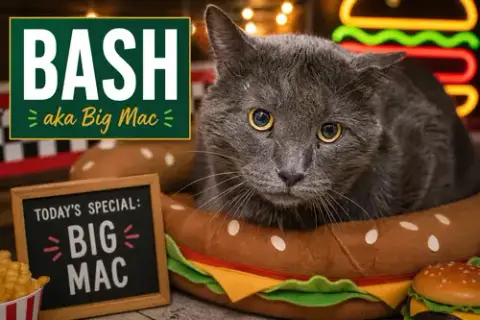 Bash Aka Big Mac