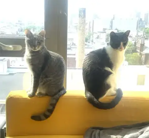 Big Boy And Mr. Man photo 2