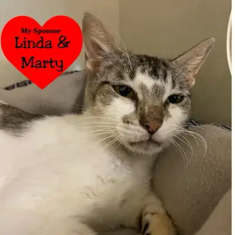 Zena