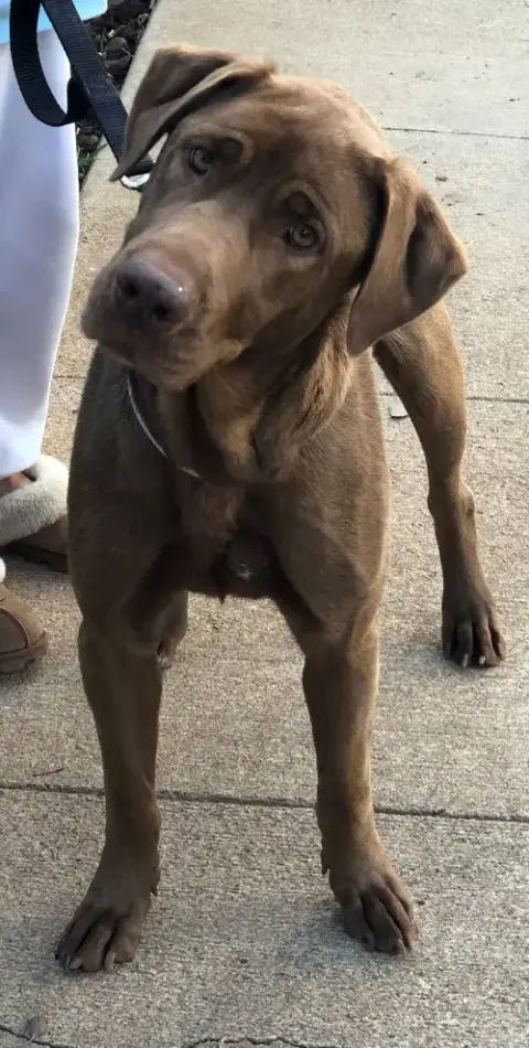 Delilah photo 4