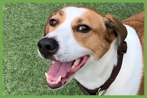 Gracie Mae