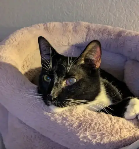 Edwin