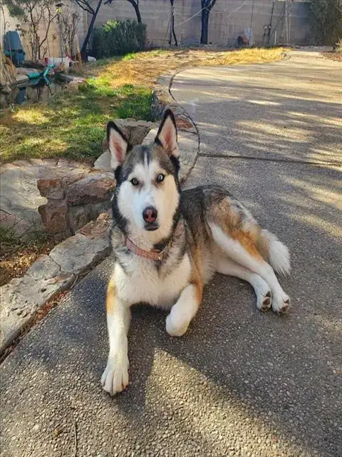 Luna