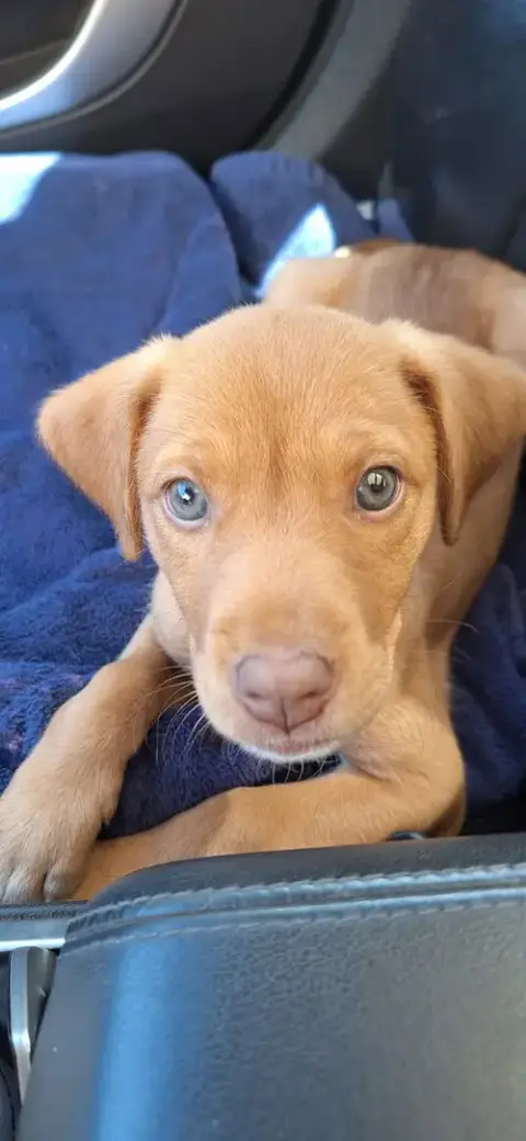 Baby photo 2