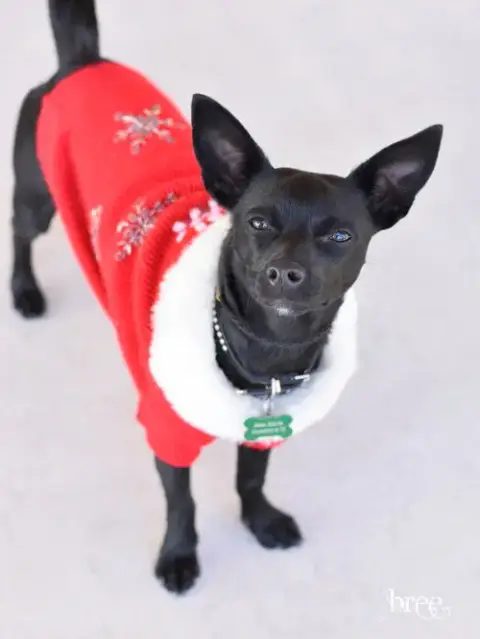 Bree photo 2