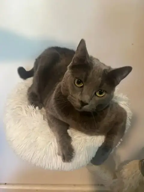 Tia photo 4