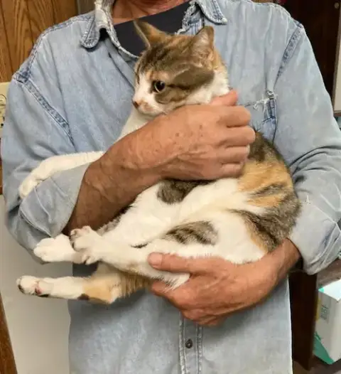 Marla Bonded With Mervin photo 3