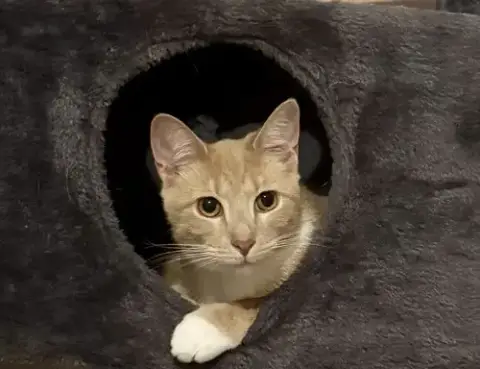 Pavlo =^.^=
